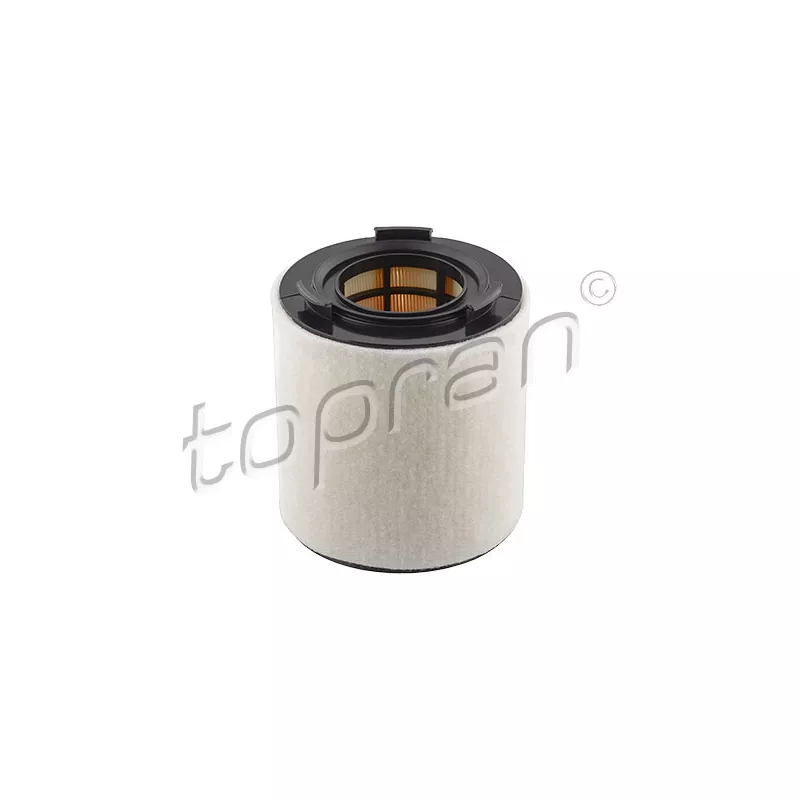 Filtre à air TOPRAN 113 192