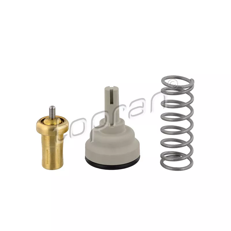 Thermostat d'eau TOPRAN 113 295