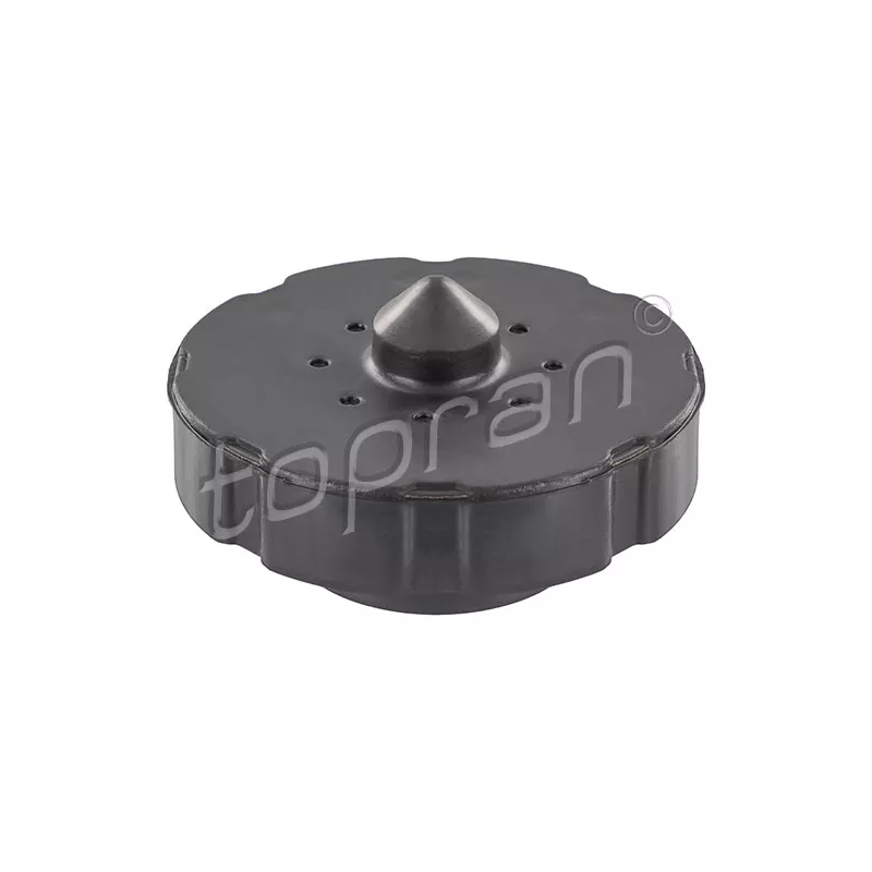 Fixation de ressort TOPRAN 113 508