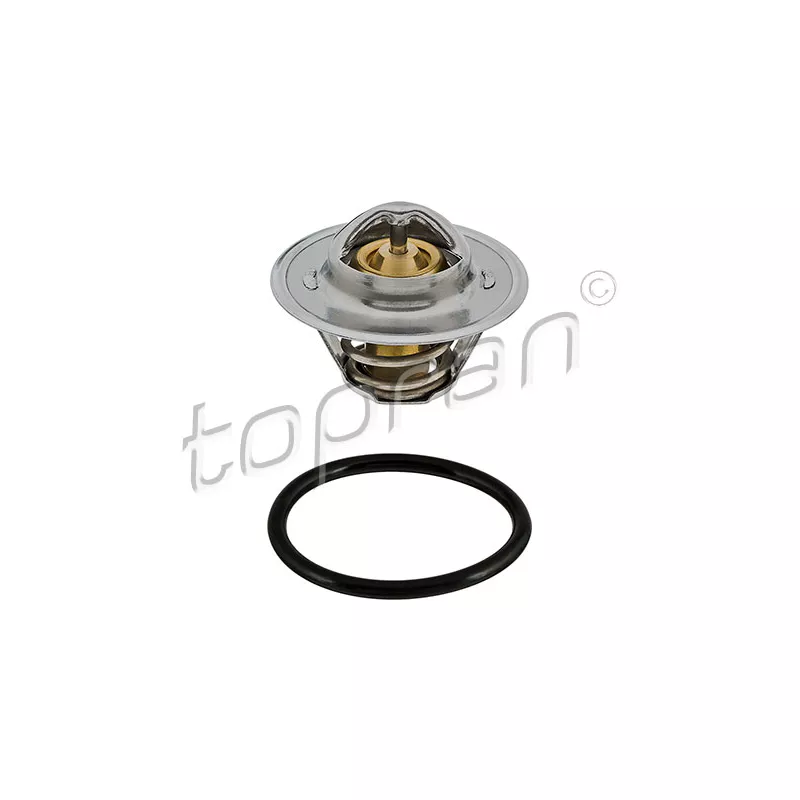 Thermostat d'eau TOPRAN 113 851
