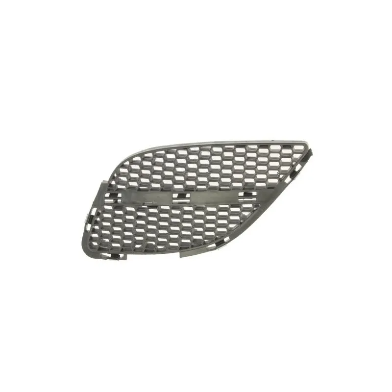 Grille de radiateur avant gauche BLIC 5513-00-1632913P