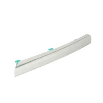 Baguette et bande protectrice, grille de radiateur avant gauche BLIC