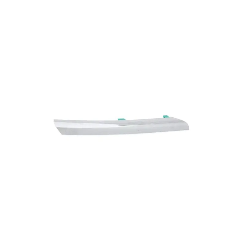 Baguette et bande protectrice, grille de radiateur avant droit BLIC 5513-00-1632926P