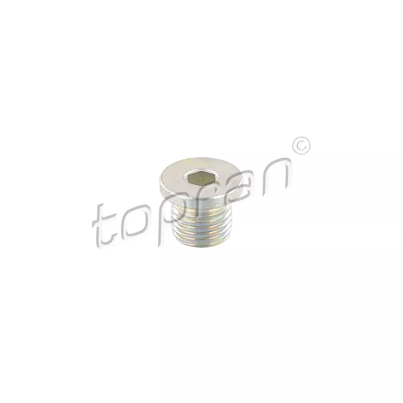 Vis-bouchon, carter d'huile TOPRAN 115 349
