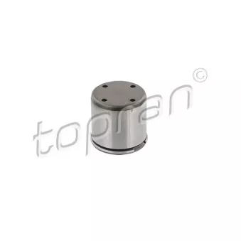 Pilon, Pompe à haute pression TOPRAN