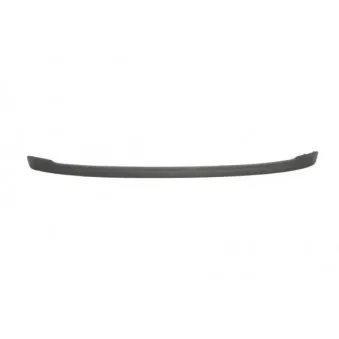 Baguette et bande protectrice, pare-chocs BLIC 5513-00-25339761P
