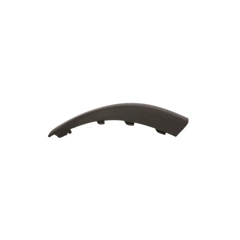 Baguette et bande protectrice, pare-chocs arrière droit BLIC 5513-00-2533978P