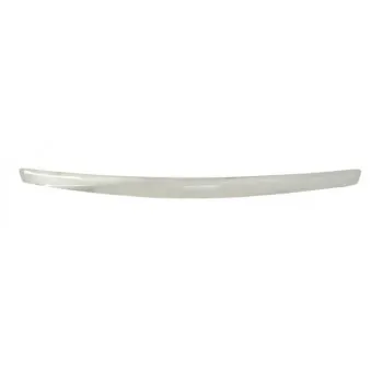 Baguette et bande protectrice, grille de radiateur BLIC 5513-00-2534921P