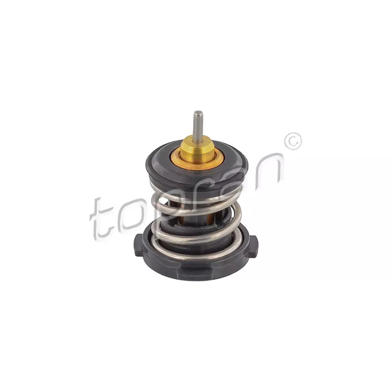 Thermostat d'eau TOPRAN 116 998
