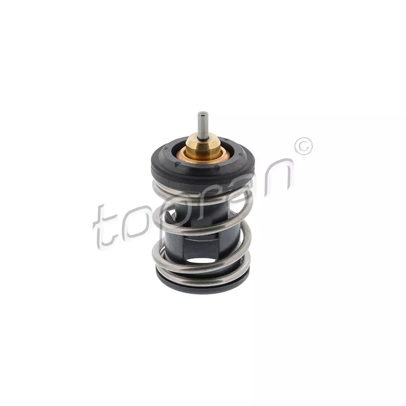 Thermostat d'eau TOPRAN 116 999
