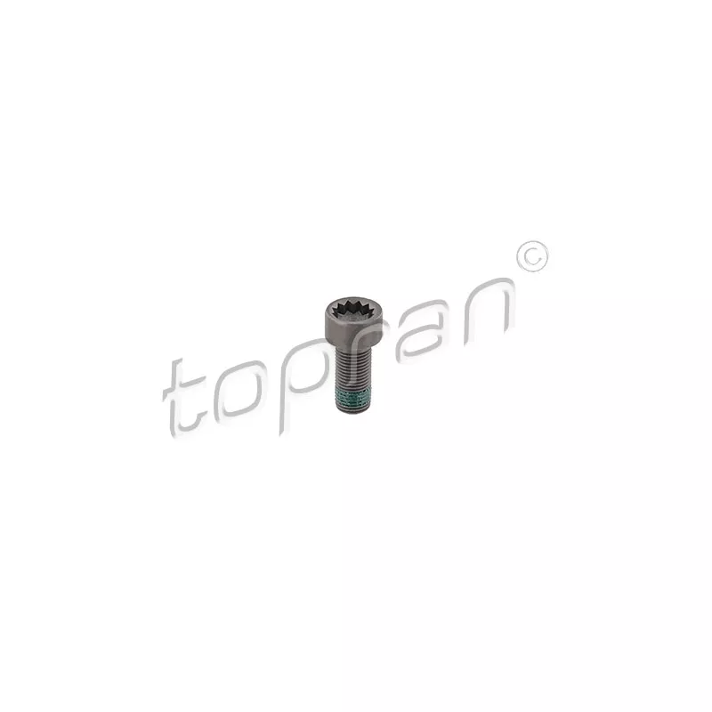 Boulon de volant moteur TOPRAN 117 243