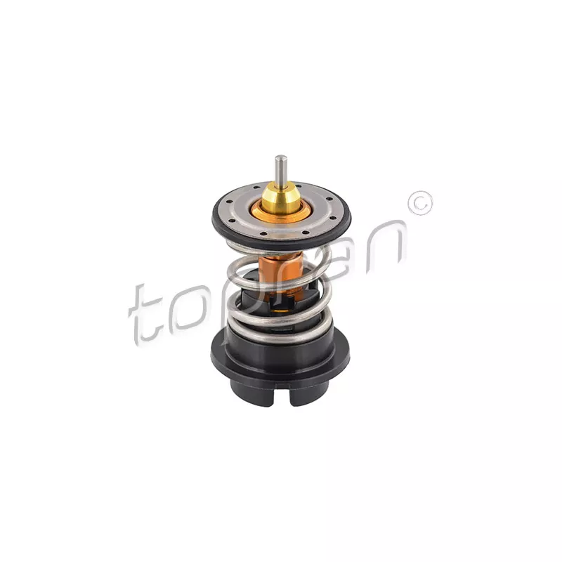 Thermostat d'eau TOPRAN 117 252