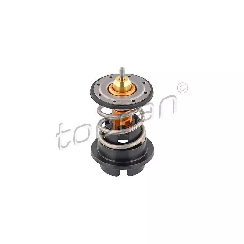 Thermostat d'eau TOPRAN 117 253