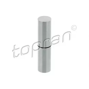 Pilon, pompe à dépression (freinage) TOPRAN 117 515