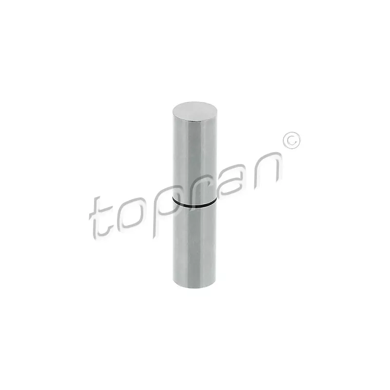 Pilon, pompe à dépression (freinage) TOPRAN 117 515