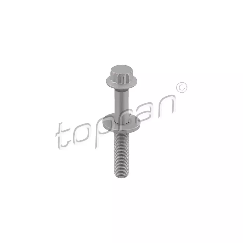 Boulon de poulie TOPRAN 117 607