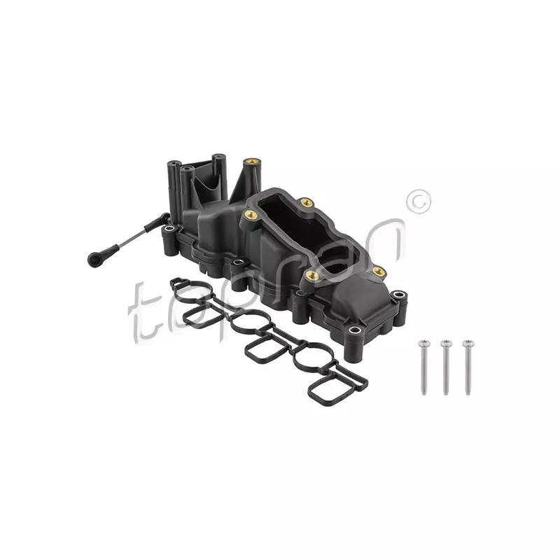 Module de tube d'admission TOPRAN 117 760