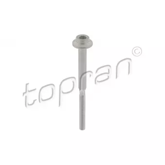 Vis, support pour controleur d'injecteurs TOPRAN 120 664
