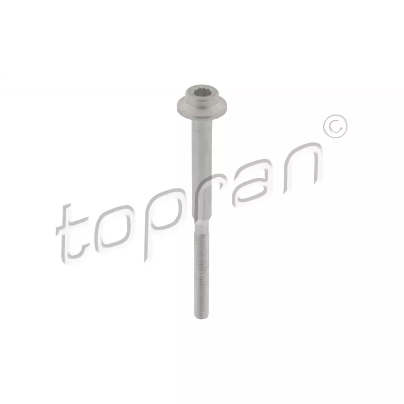Vis, support pour controleur d'injecteurs TOPRAN 120 664