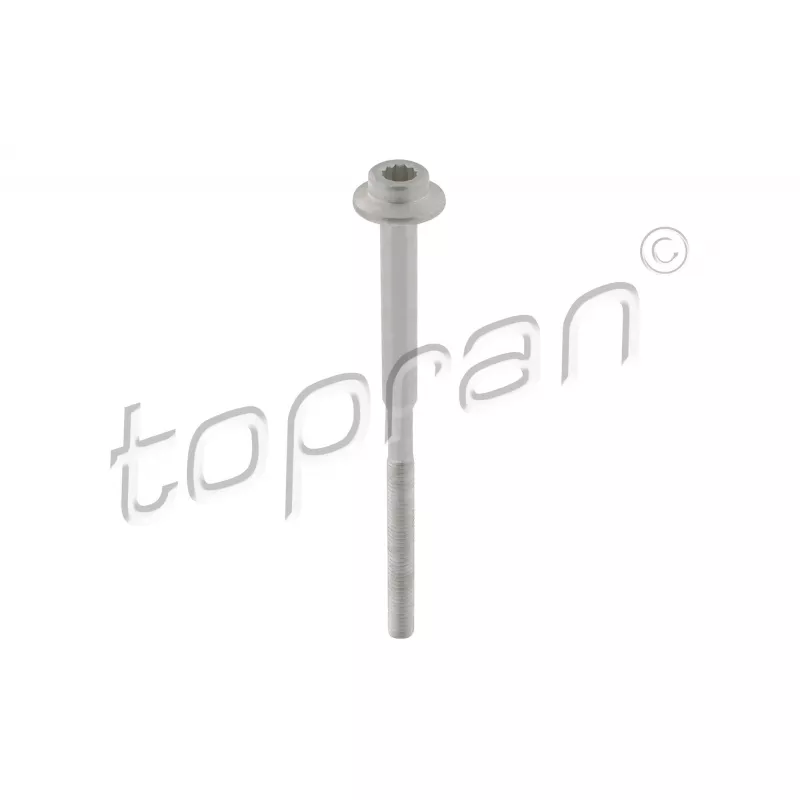 Vis, support pour controleur d'injecteurs TOPRAN 120 665