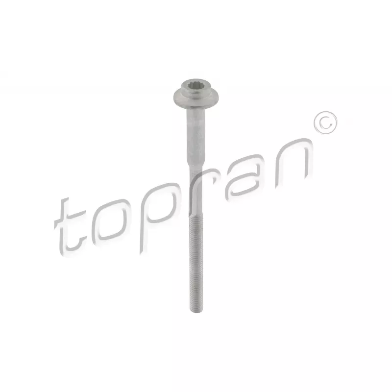 Vis, support pour controleur d'injecteurs TOPRAN 120 668