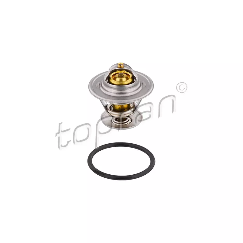 Thermostat d'eau TOPRAN 202 313