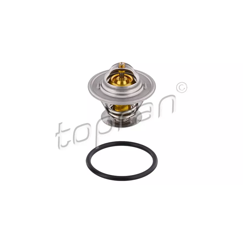 Thermostat d'eau TOPRAN 202 314