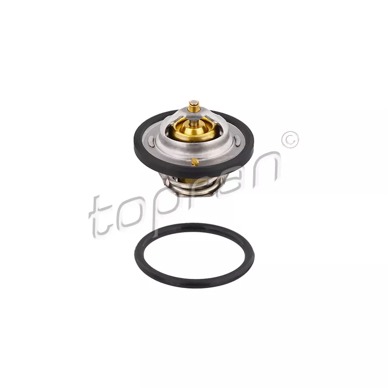 Thermostat d'eau TOPRAN 202 317