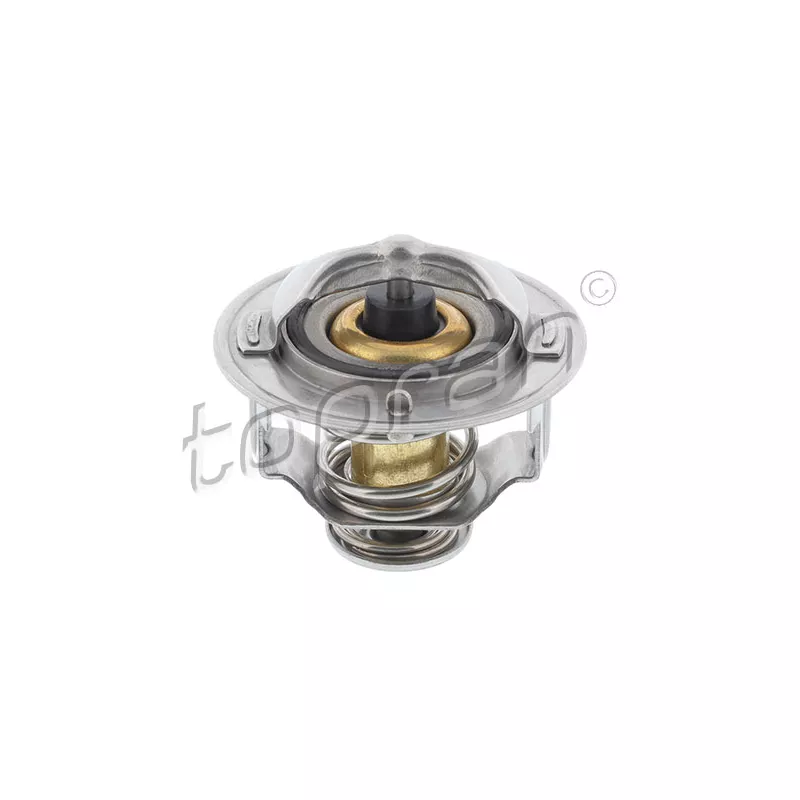 Thermostat d'eau TOPRAN 205 725