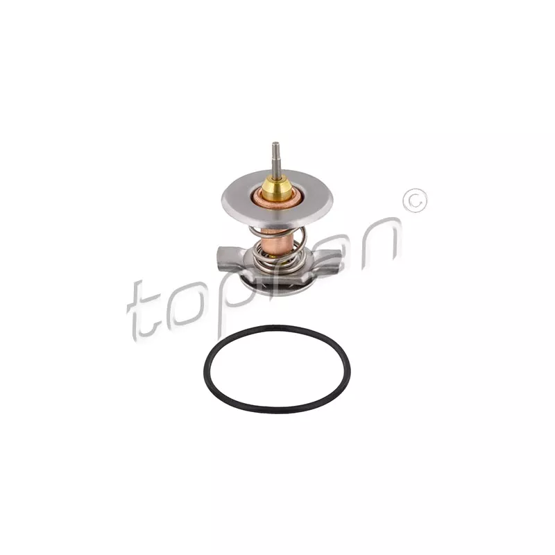 Thermostat d'eau TOPRAN 207 129