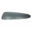 Baguette et bande protectrice, pare-chocs avant gauche BLIC 5513-00-8101921P - Visuel 1