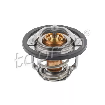 Thermostat d'eau TOPRAN 207 506