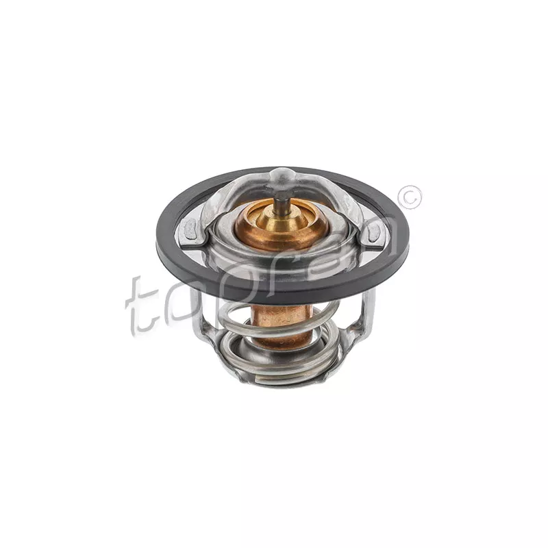 Thermostat d'eau TOPRAN 207 506