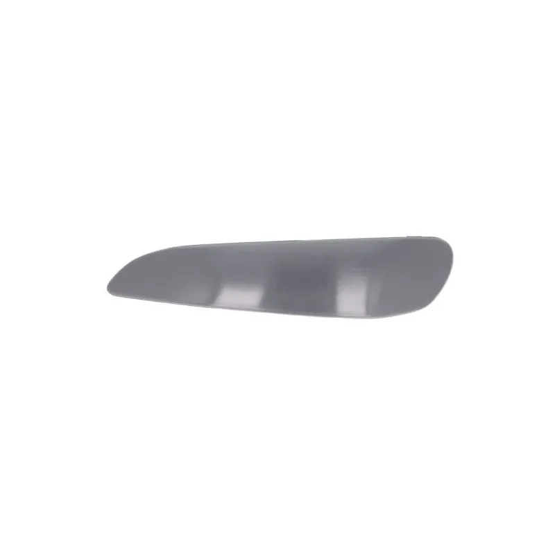Baguette et bande protectrice, pare-chocs avant gauche BLIC 5513-00-8101925Q