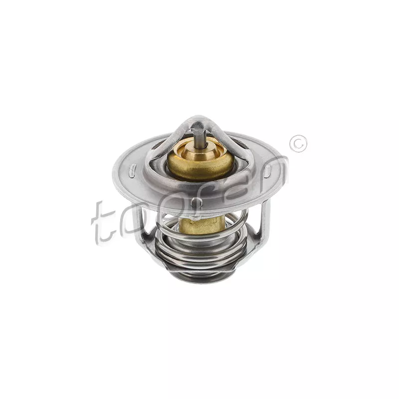 Thermostat d'eau TOPRAN 207 935