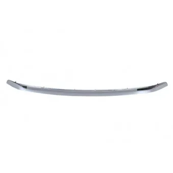 Baguette et bande protectrice, grille de radiateur BLIC 5513-00-8179921P