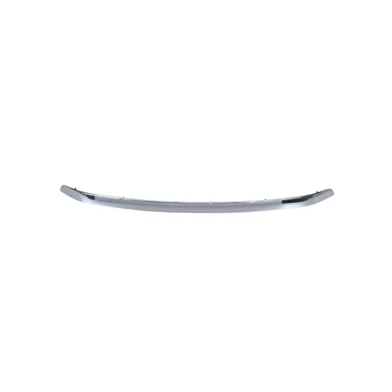 Baguette et bande protectrice, grille de radiateur BLIC 5513-00-8179921P