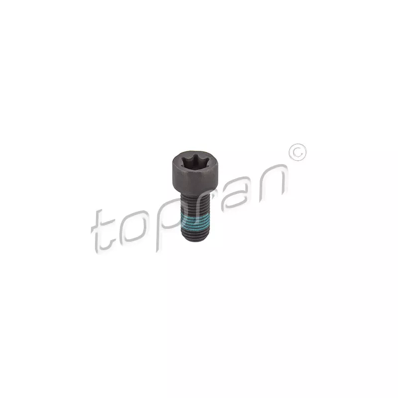 Boulon de volant moteur TOPRAN 208 861