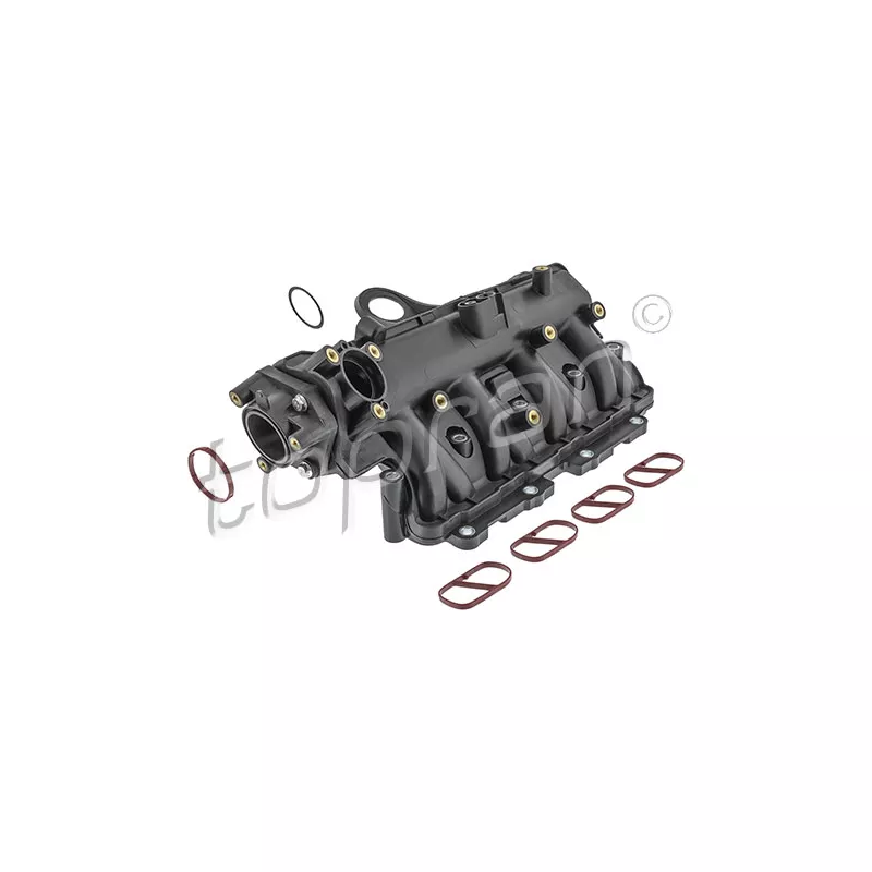Module de tube d'admission TOPRAN 209 187