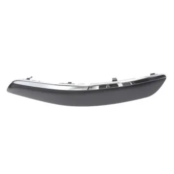 Baguette et bande protectrice, pare-chocs avant gauche BLIC 5513-00-9545925PP