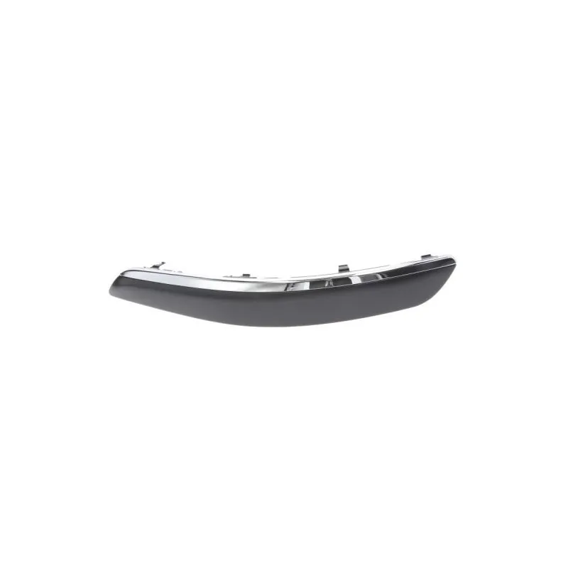 Baguette et bande protectrice, pare-chocs avant gauche BLIC 5513-00-9545925PP