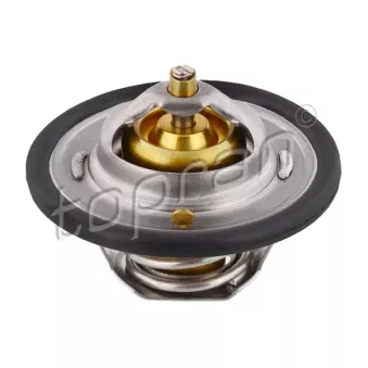 Thermostat d'eau TOPRAN 300 030