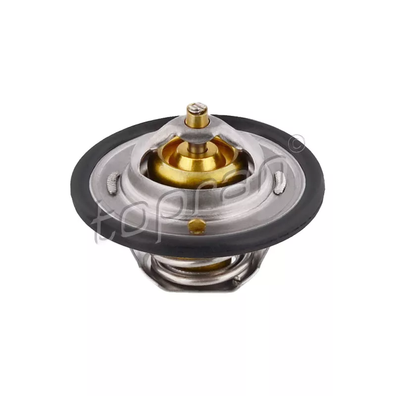 Thermostat d'eau TOPRAN 300 030