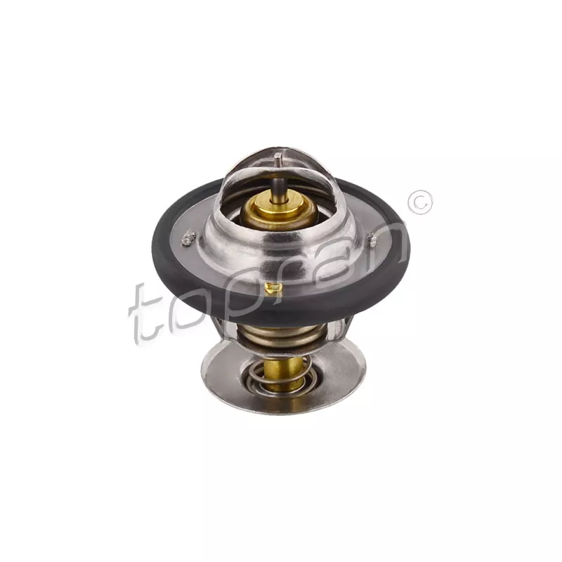 Thermostat d'eau TOPRAN 300 597