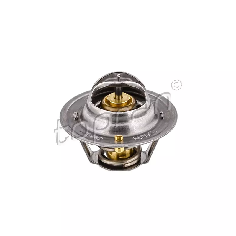 Thermostat d'eau TOPRAN 300 628