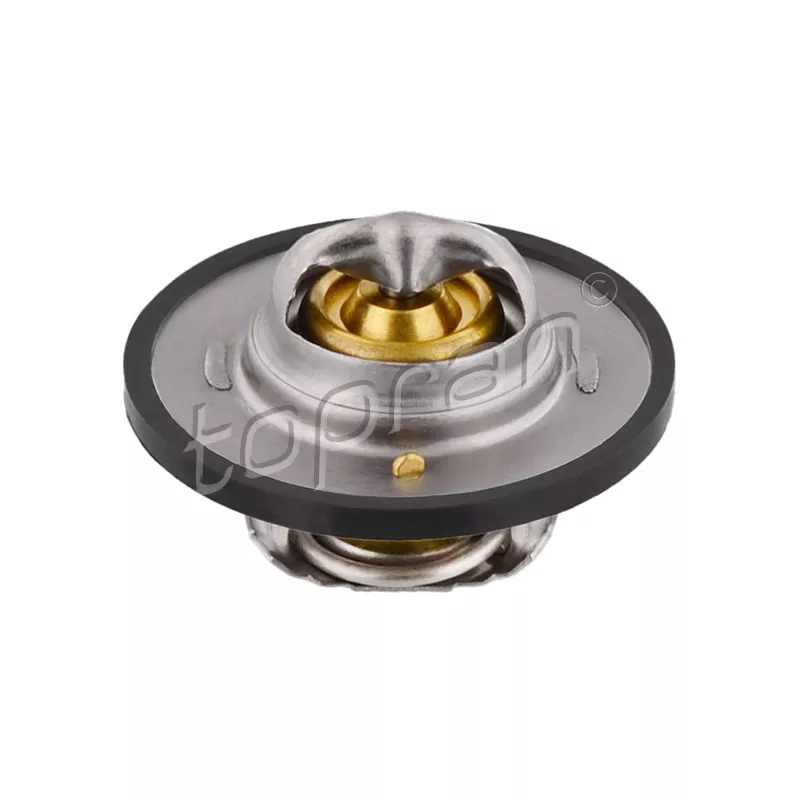 Thermostat d'eau TOPRAN 300 742