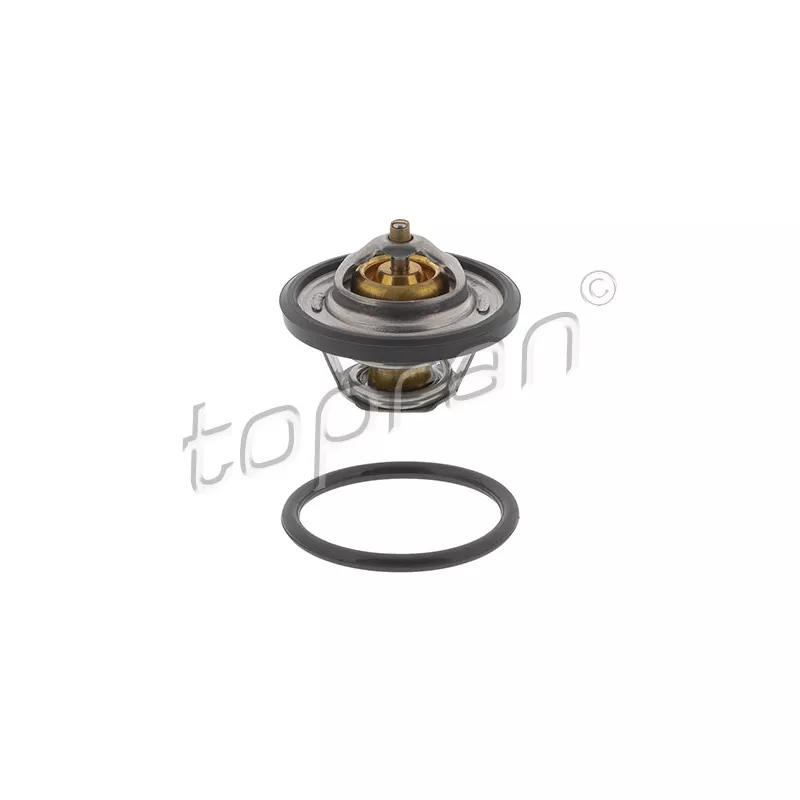 Thermostat d'eau TOPRAN 300 813