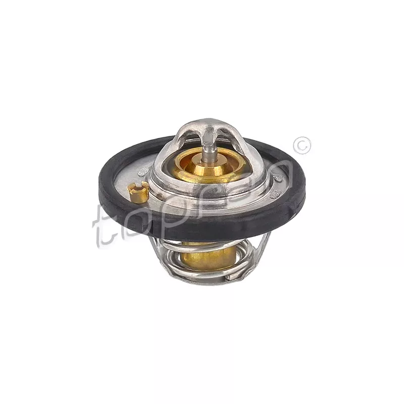 Thermostat d'eau TOPRAN 301 890
