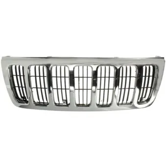 Grille de radiateur BLIC 5601-00-3204994P
