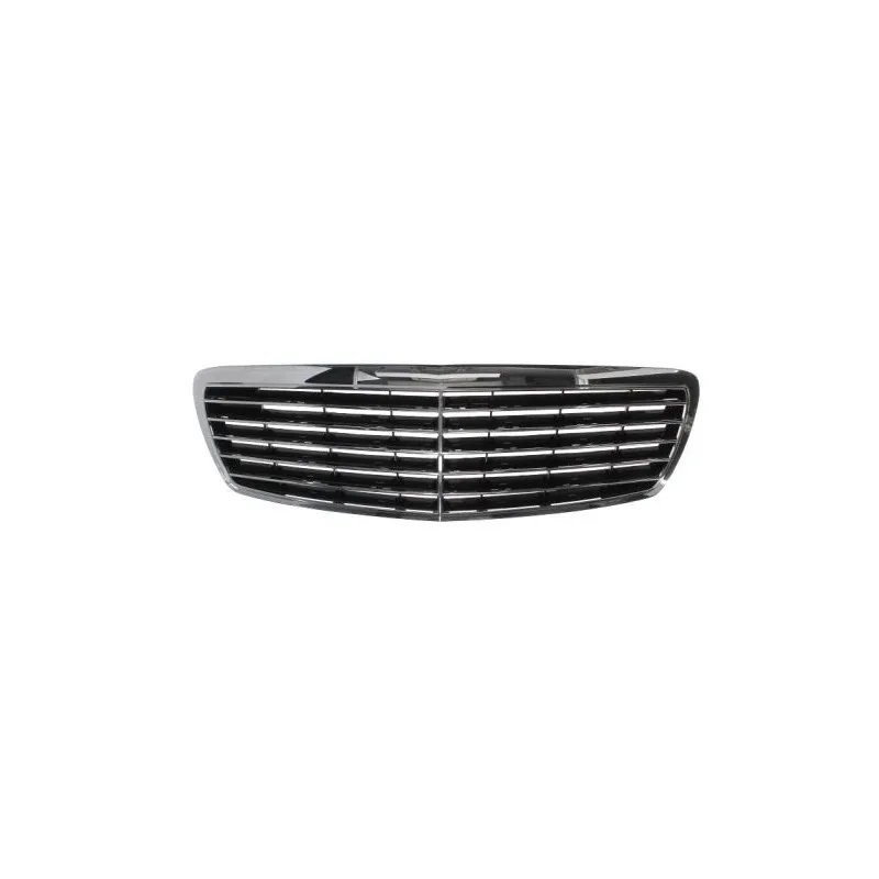 Grille de radiateur BLIC 5601-00-3528990P